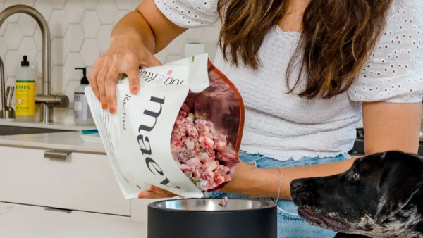 Best Dog Food Delivery Services for 2024