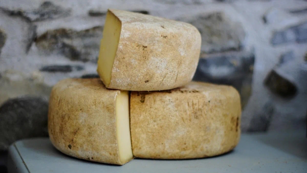 Don't Wrap Your Cheese in Plastic. Here's the Proper Way to Store It