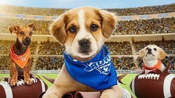When Is Puppy Bowl 2025? How to Watch the Super Cute Showdown